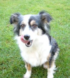 nuscha zeigt lippenlecken